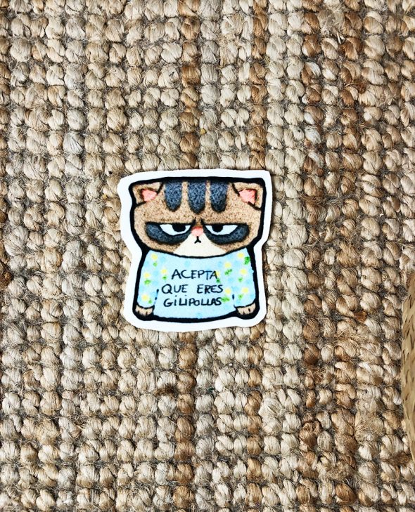 PARCHE GATO ENFADAO