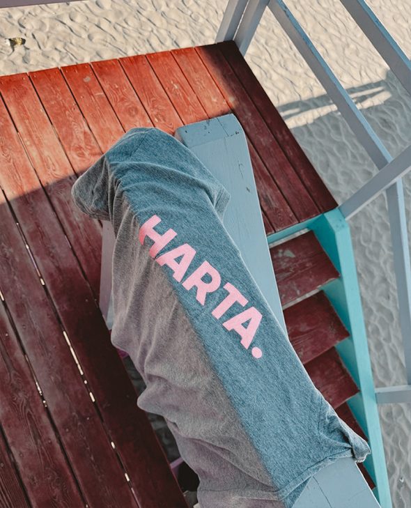 CAMISETA HARTA GRIS